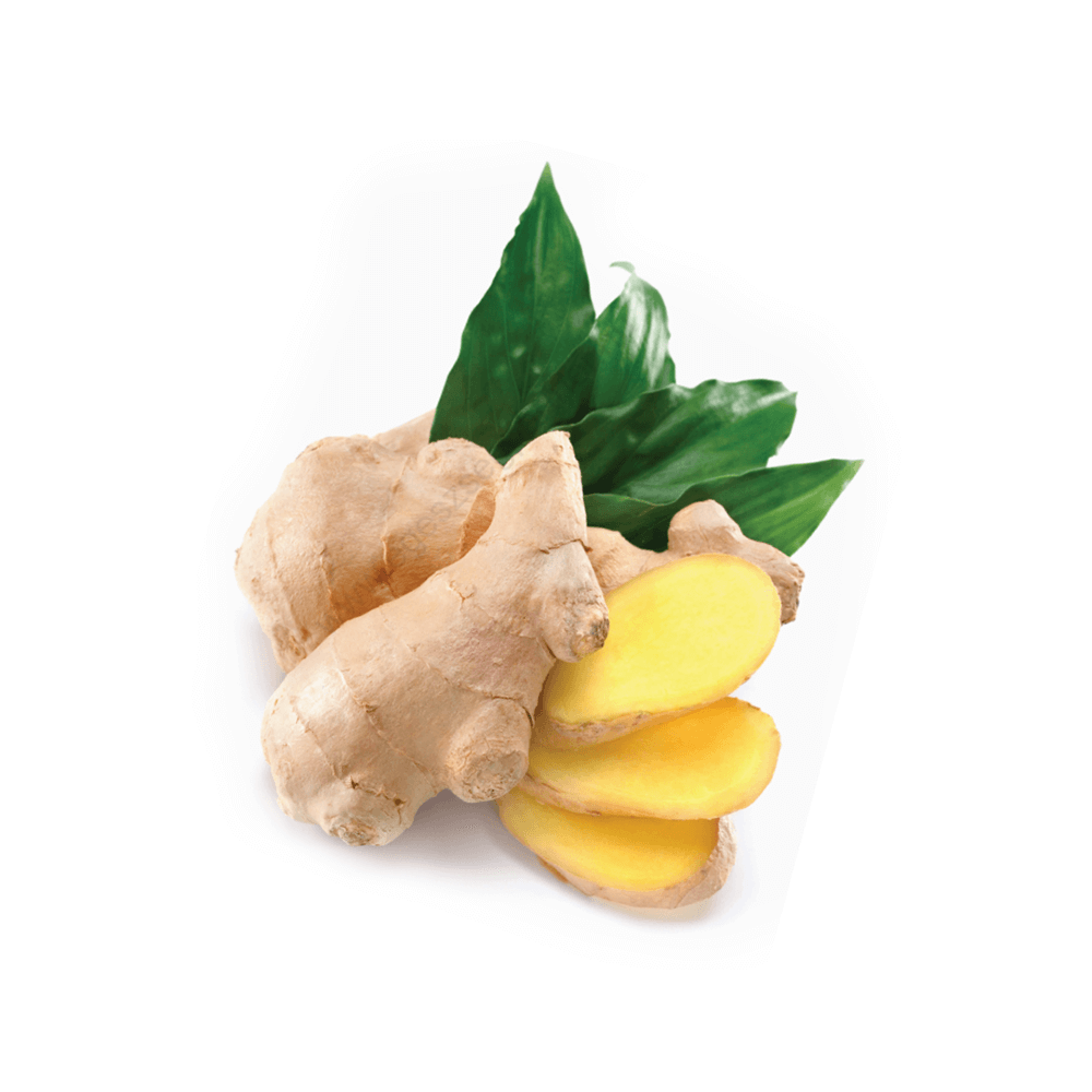 Gyömbér (Ginger) illóolaj - doTERRA -15ml