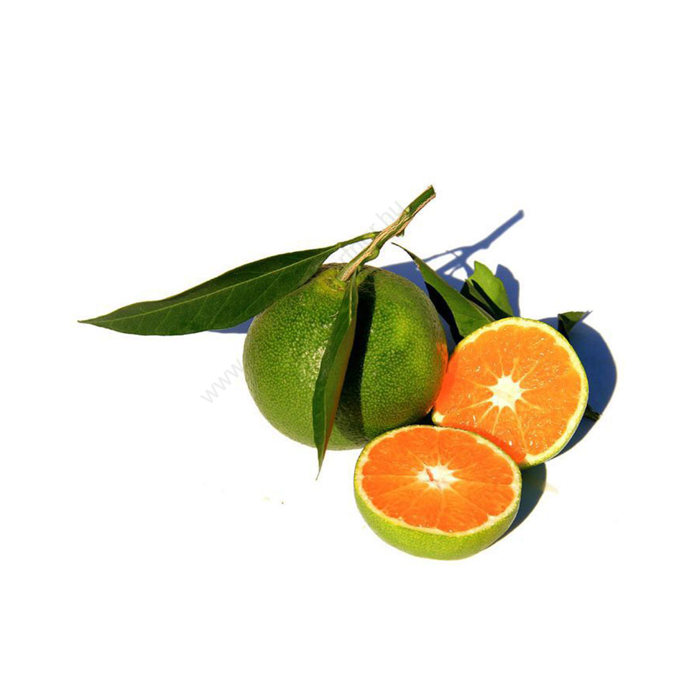 zöld mandarin