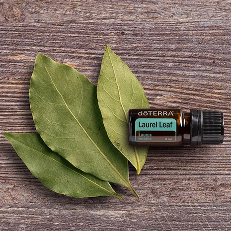 doterra-baberlevel-15ml